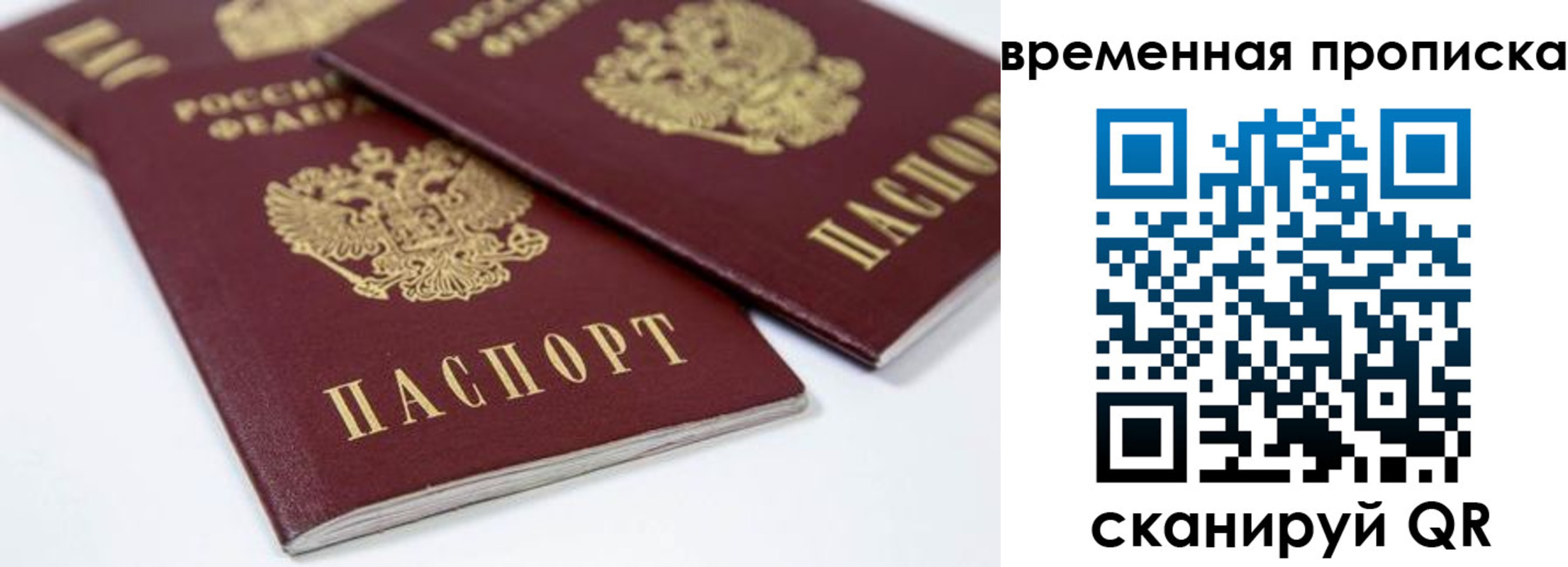прописка для школы в Яранске